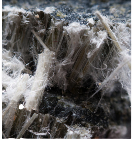 About Asbestos Management